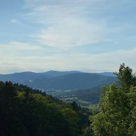 Urig / Mitten Im Bayerischen Wald + Schonblick + Netflix Schofweg ภายนอก รูปภาพ