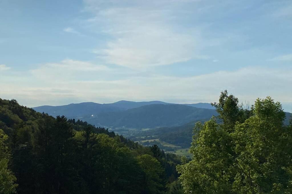 Urig / Mitten Im Bayerischen Wald + Schonblick + Netflix Schofweg ภายนอก รูปภาพ