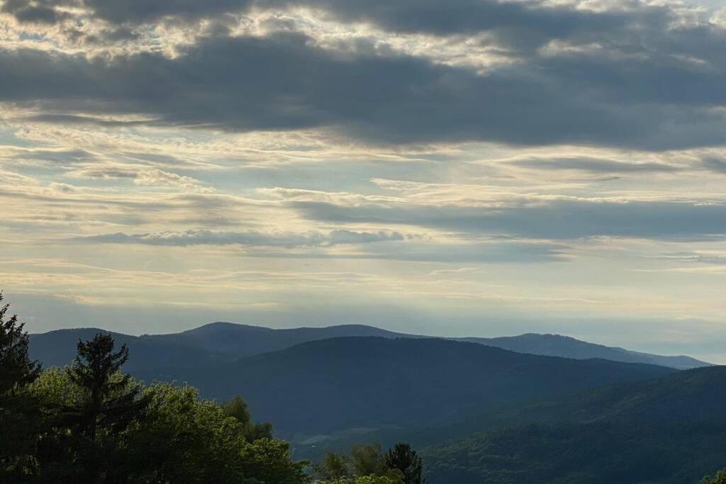 Urig / Mitten Im Bayerischen Wald + Schonblick + Netflix Schofweg ภายนอก รูปภาพ